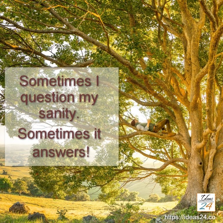 Sometimes I question my sanity... Ideas24