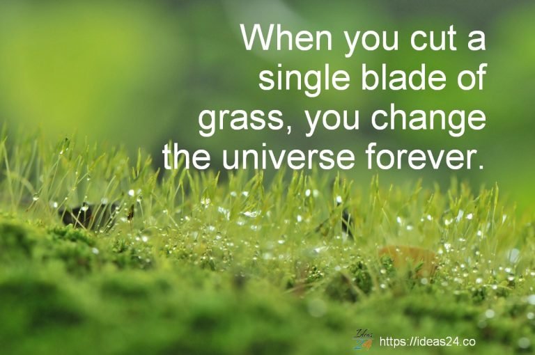 When you cut a single blade of grass, you change the universe forever.