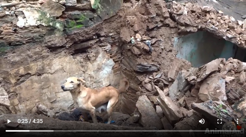 A mother’s devotion…