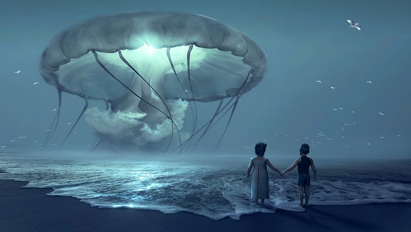 Scientists from Stanford and Caltech have created cyborg jellyfish that swim faster and more efficiently.