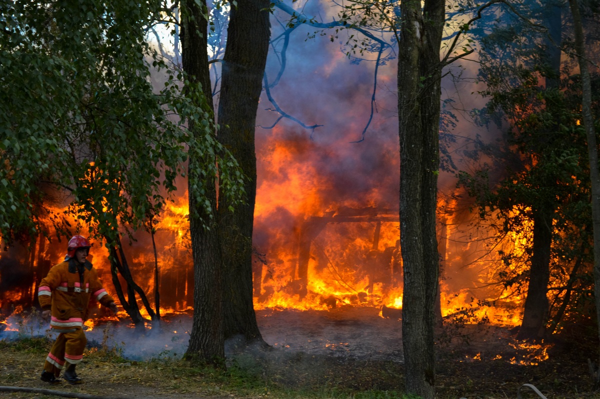 Extreme heat will lead to more forest fires.