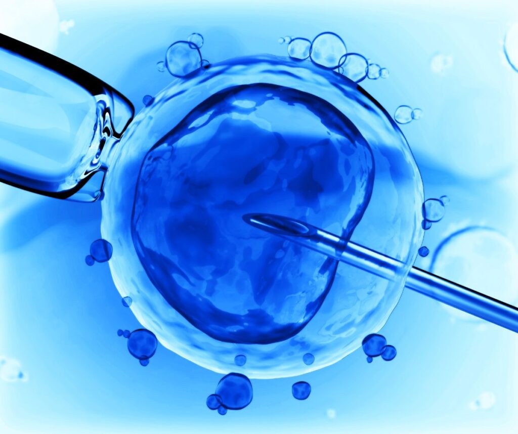 IVF is a common form of assisted reproduction where eggs are fertilized outside the body.