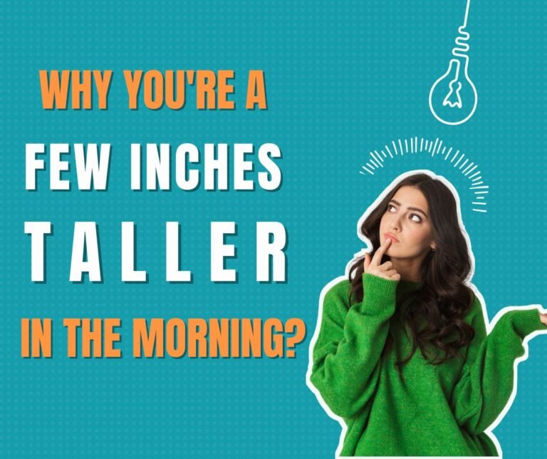 Why You're a Few Inches Taller in the Morning: 7 Amazing Facts and Myths Debunked