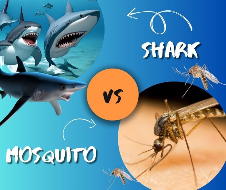 Deadly Facts: Shark vs. Mosquito Deadly Facts: Shark vs. Mosquito