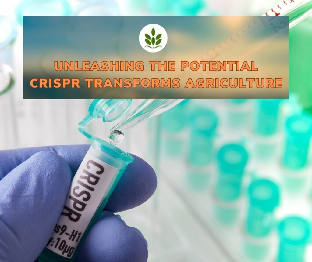 Unleashing the Potential: 7 Ways CRISPR Transforms Agriculture