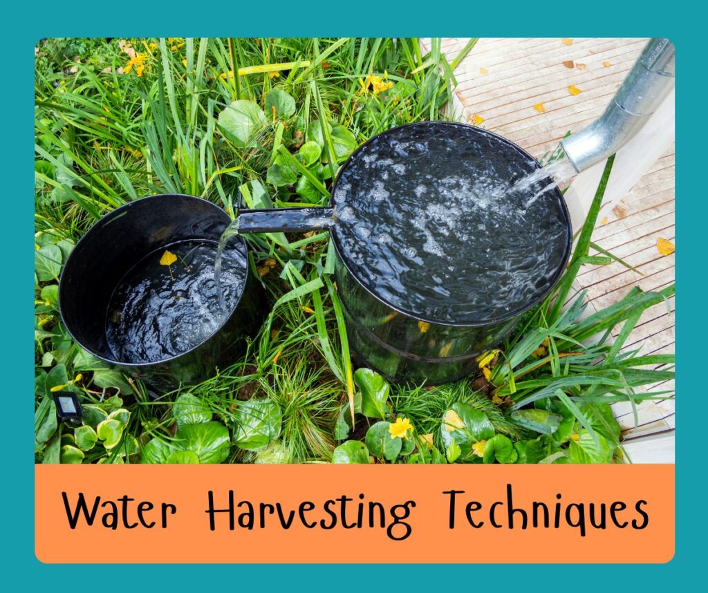 Water Harvesting Techniques