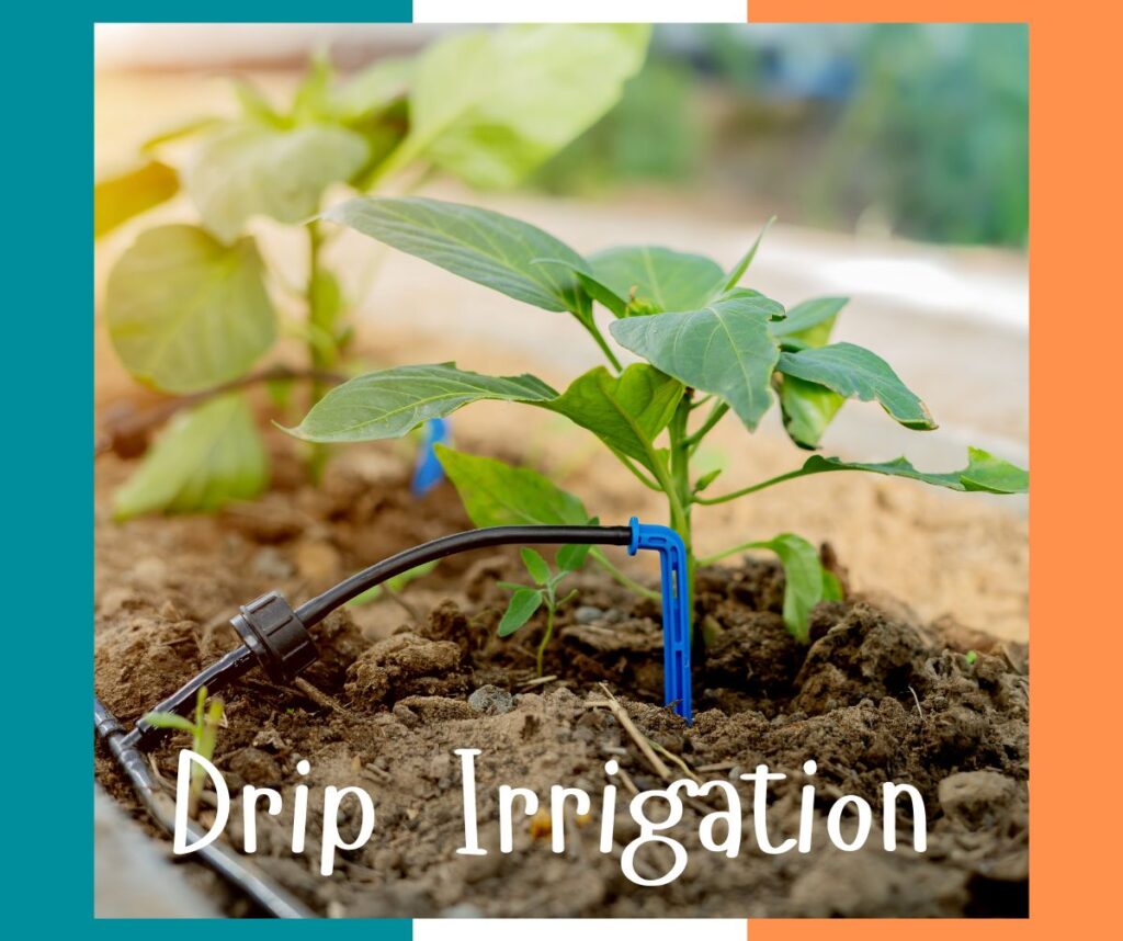 Drip irrigation is a water-efficient method of delivering precise amounts of water directly to plant roots through a network of tubes and emitters.