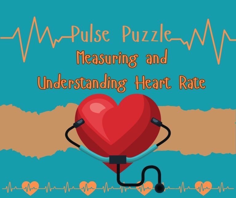 A Guide to Measuring and Understanding Heart Rate: Unraveling the Pulse Puzzle