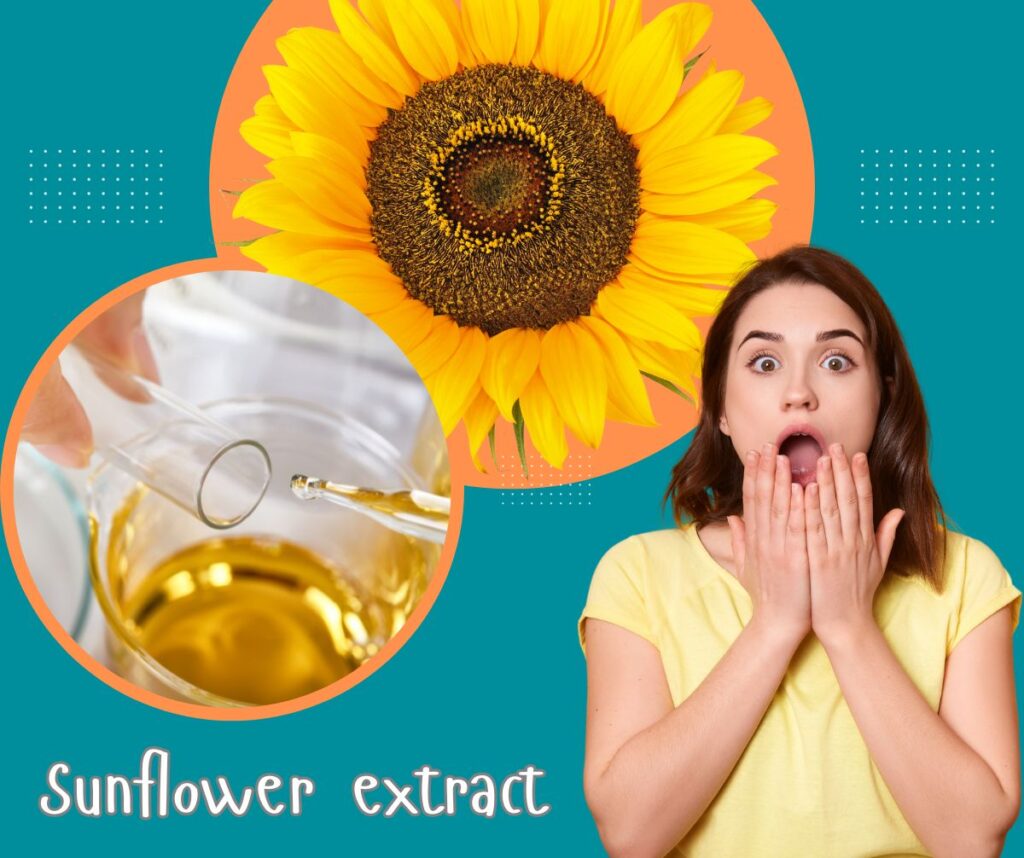 3 Amazing Benefits of Sunflower Extract in Cosmetics: Your Natural Beauty Powerhouse