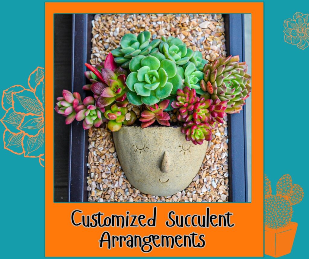 Customized Succulent Arrangements