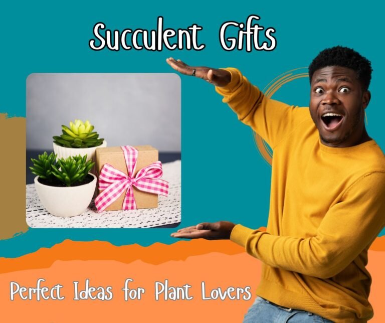 10 Must-Have Succulent Gifts for Plant Lovers