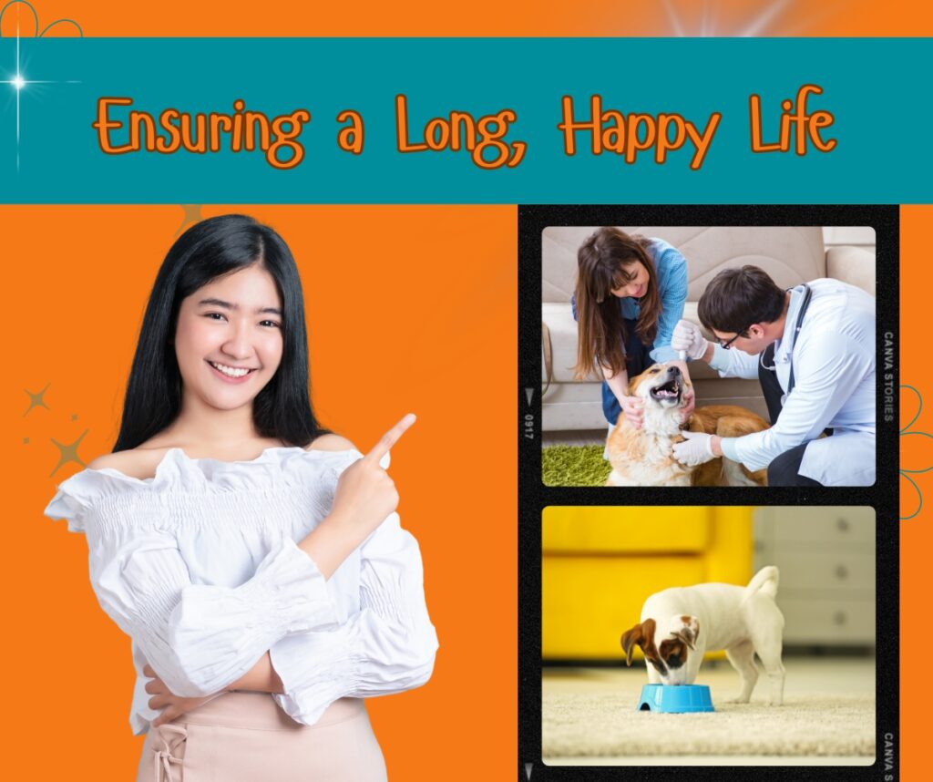 Ensuring a Long, Happy Life