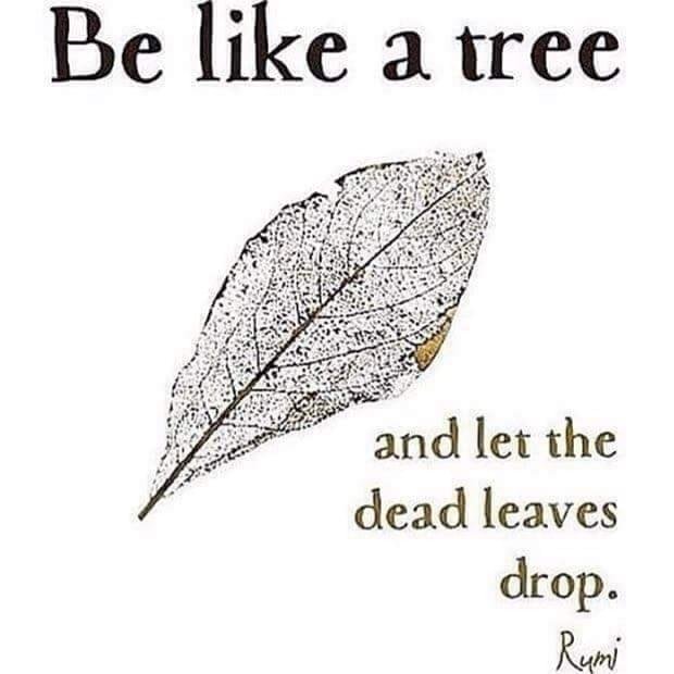 Be like a tree!